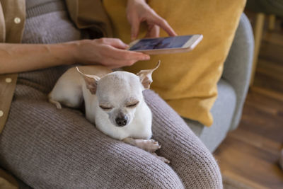 Midsection of woman holding dog