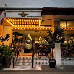 Potted plants on illuminated building at night