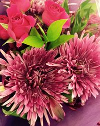 Close-up of pink flowers