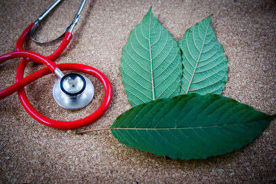 High angle view of stethoscope and leaves against on floor