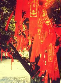 Close-up of red wall