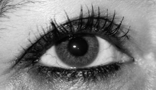 Close-up of human eye