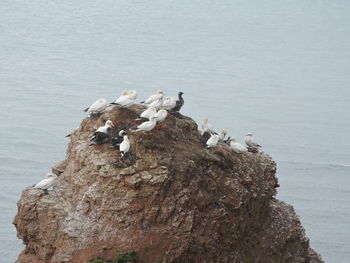 Scenic view of sea