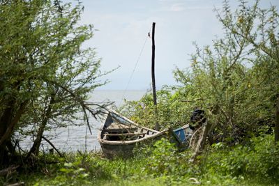 Abandoned boat against sky