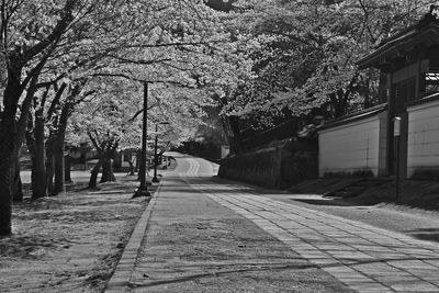 Road amidst trees against sky in city