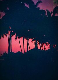 Low angle view of trees against sky