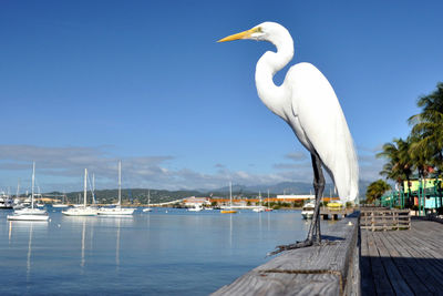 Snowy egret perching on railing by sea against sky