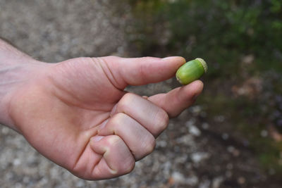 Close-up of hand holding an acorn 