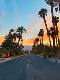 Road by palm trees against sky during sunset