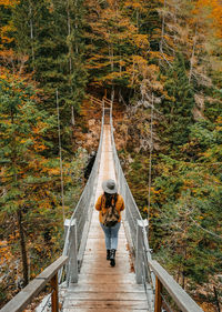 Rear view of female hiker walking on suspension footbridge across ravine in forest in autumn