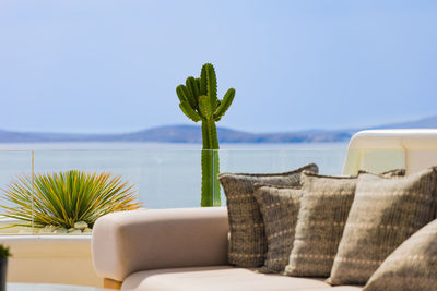 Potted plant on beach against clear sky