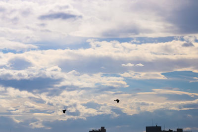 Low angle view of airplane flying in sky