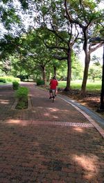 People walking on footpath