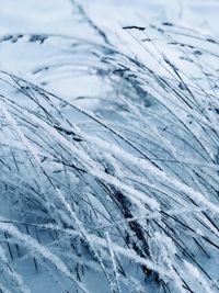 High angle view of snow on land