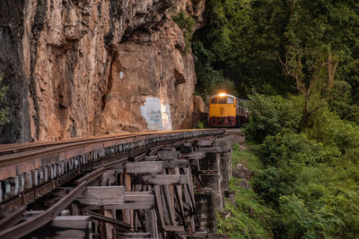 Illuminated railroad tracks by trees on mountain