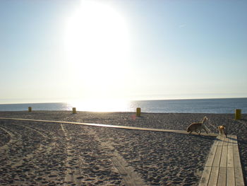 Scenic view of beach against clear sky