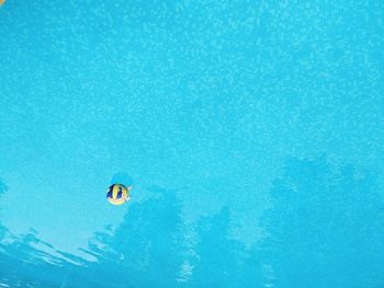 Upside down image of soccer ball in swimming pool