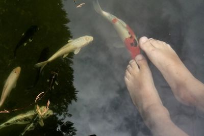 Man swimming underwater