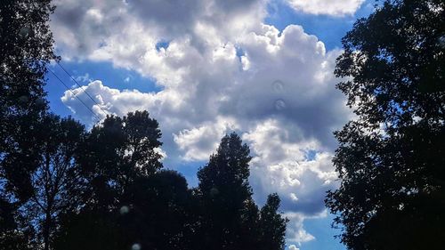 Low angle view of silhouette trees against sky