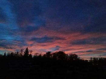 Silhouette of trees at sunset