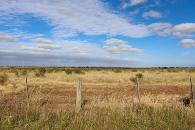 Fence in dry field and blue sky