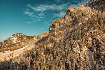 Snowy mountains and trees in the alps