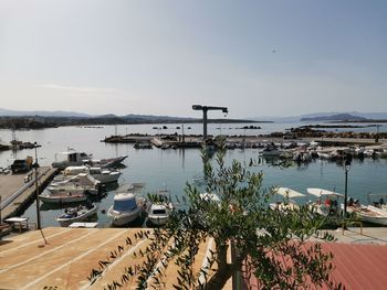 High angle view of boats moored at harbor