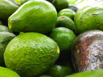 Full frame shot of fruits in market