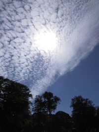 Low angle view of silhouette trees against sky on sunny day