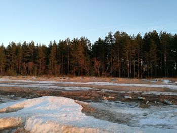 Trees on landscape against sky during winter