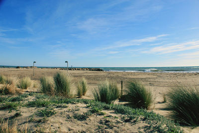 Scenic view of beach against sky