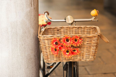 Close-up of flower with basket