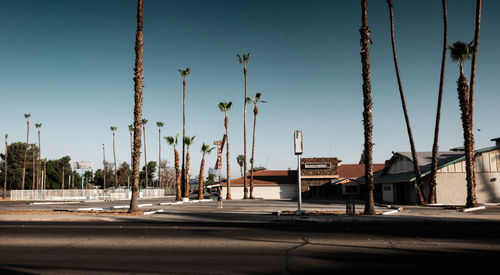 City street by palm trees against clear sky