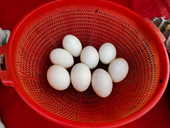 High angle view of eggs in container