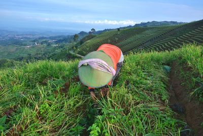 Scenic view of farm against sky