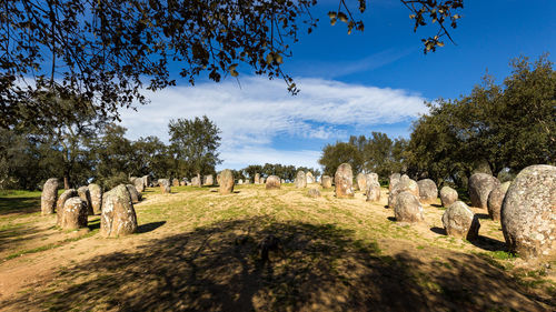 Scenic view of stones against cloudy sky