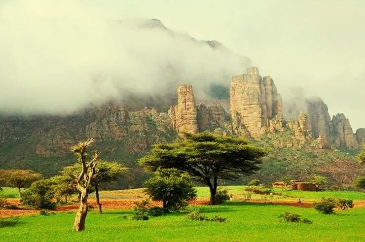 scenics, tranquil scene, tranquility, landscape, tree, beauty in nature, mountain, sky, nature, grass, travel destinations, green color, non-urban scene, rock formation, tourism, idyllic, travel, cloud - sky, physical geography, geology