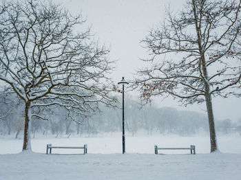 Snowy winter morning in the city park. bare trees, street lamp and benches covered with snow. calm