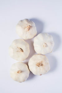 High angle view of eggs against white background