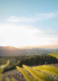 Scenic view of field against sky during sunset