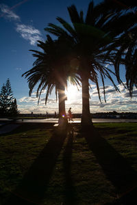 Silhouette palm trees on footpath against sky