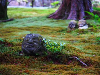 Low section of sculpture on field in park