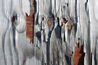 Close-up of wood