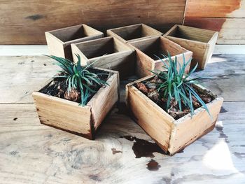 High angle view of plants growing in wooden box