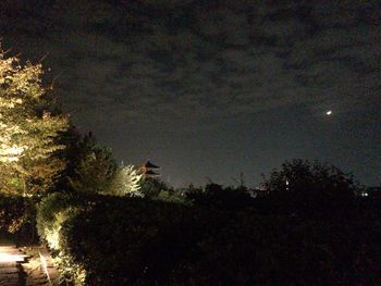 Illuminated christmas tree against sky at night