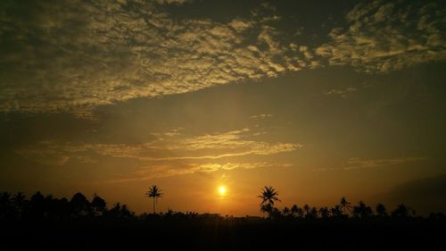 Silhouette trees against sky during sunset