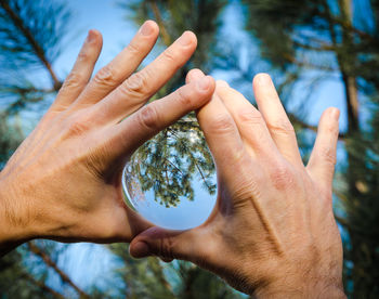 Close-up of hand holding plant against trees