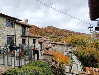 Plants and buildings against sky during autumn