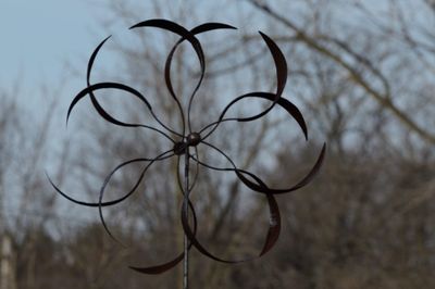 Close-up of dry leaves on branch