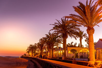 Palm trees on road against sky during sunset